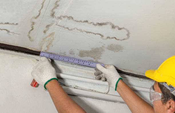 Reliable Mold Remediation contractor in Pewaukee, WI by Water Damage Irwin